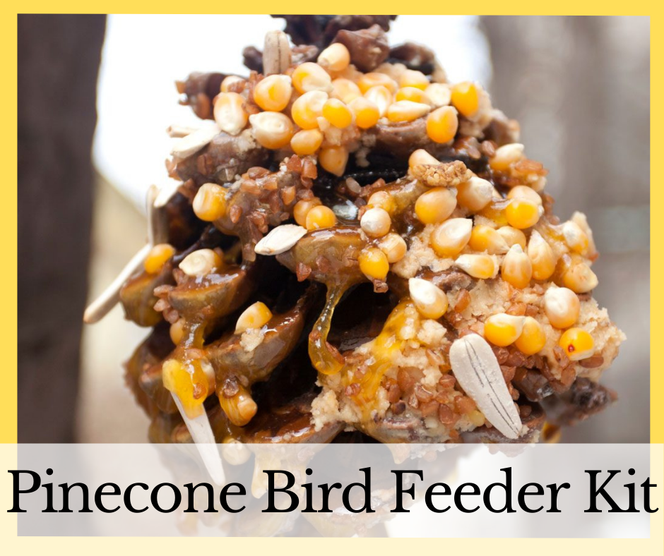 DIY Pine Cone Peanut Butter Bird Feeder